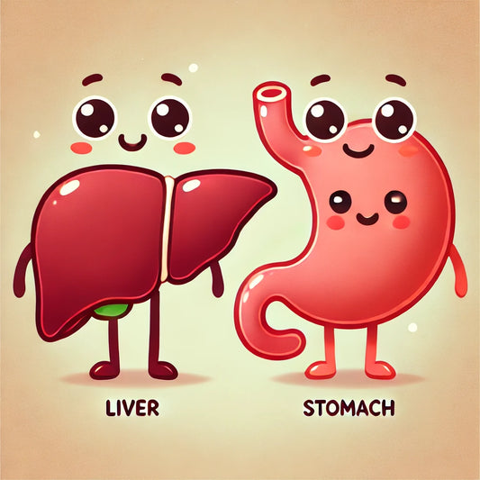 Water Kefir & Probiotics: A Natural Boost for Liver Health