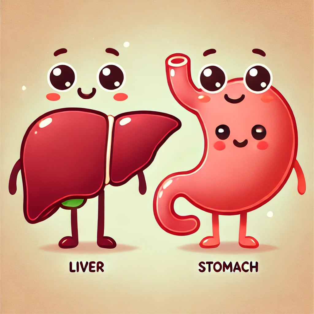 Water Kefir & Probiotics: A Natural Boost for Liver Health