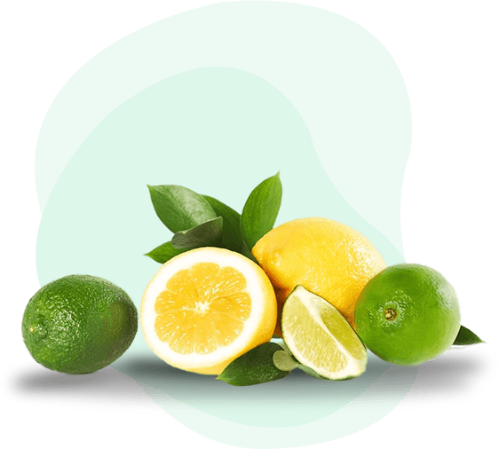 A green background with lemons and limes.